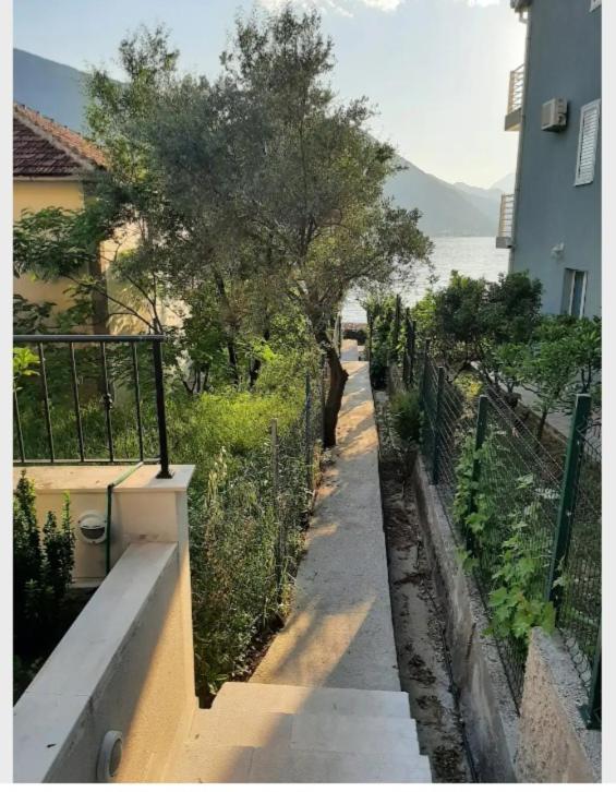 Apartments Boka Blue Dobrota Κότορ Εξωτερικό φωτογραφία